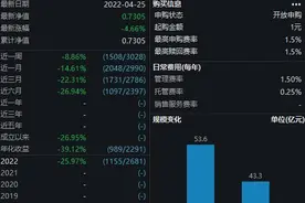 出师不利惨遭大额赎回，贝莱德基金首只公募一季度浮亏14.9%！重仓股最高跌逾60%图片