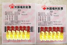 3D开出666 荆州购彩者喜中10万元图片