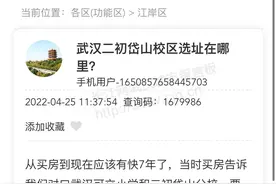 武汉二初岱山校区选址确定图片