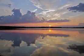 夜读丨随和是素质，低调是修养，良心是底线图片