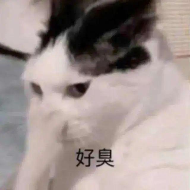 身体乳可以涂在包皮上吗