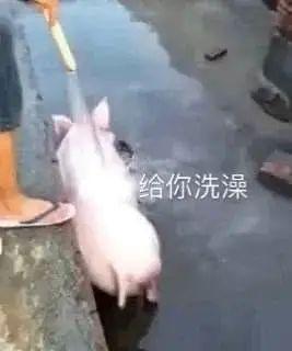 身体乳可以涂在包皮上吗