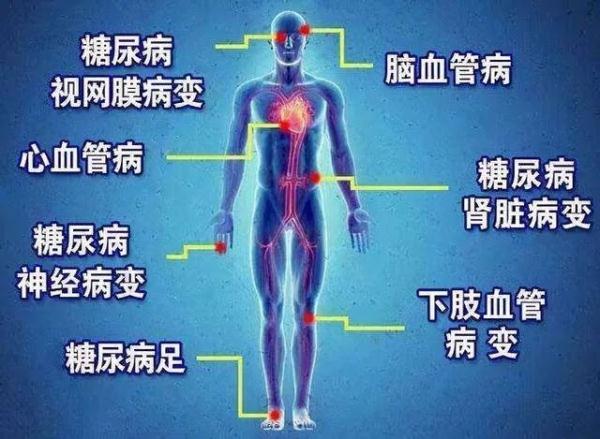 为什么有的糖尿病患者需要吃藕粉或粉条？
