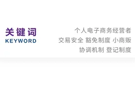 赵栩｜个人电子商务经营者准入规则再探讨图片