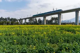 5月1日起，温州市区这些人能免费乘S1图片