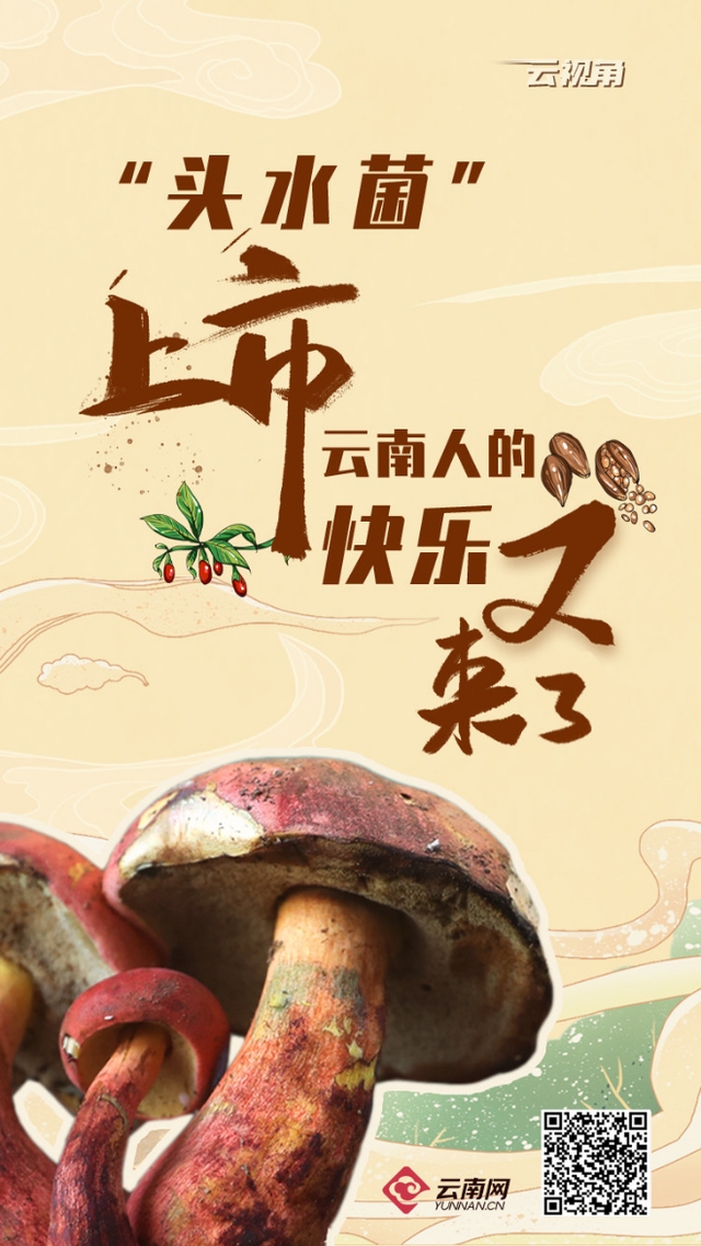 这些野生菌不能馋