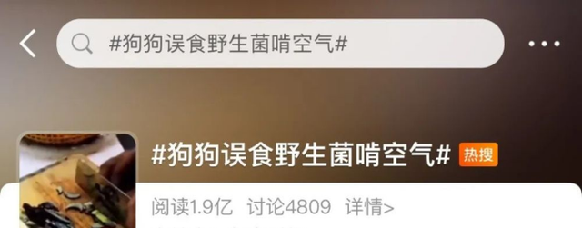 这些野生菌不能馋