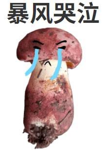 这些野生菌不能馋