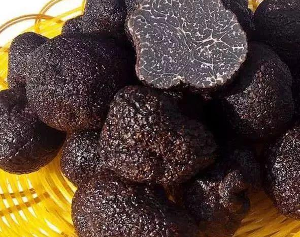 这些野生菌不能馋