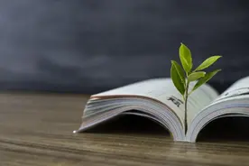 宋晓晖：破解教育内卷“囚徒困境”图片