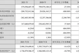 珈伟新能：2021年亏损2.10亿元图片