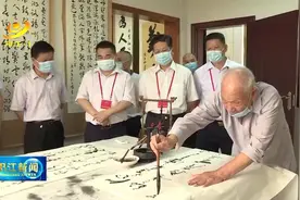 阳江市领导调研公共文化服务情况视频封面