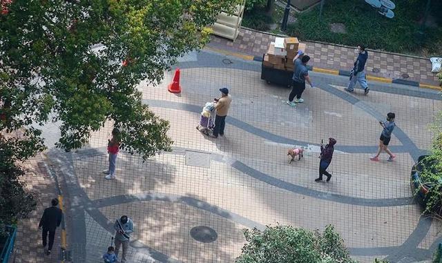 封控近一个月，一名上海浦西居民眼中的“战疫”