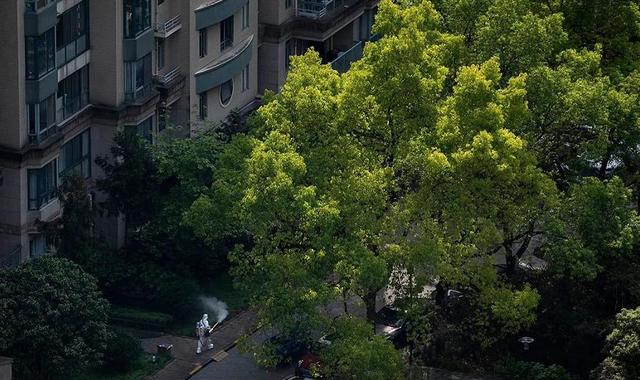 封控近一个月，一名上海浦西居民眼中的“战疫”