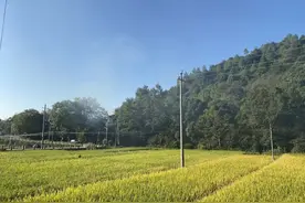 夜读｜什么才是真正的朋友图片