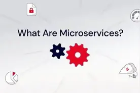 微服务是什么？图片