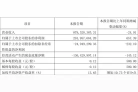 ST鹏博士：2022年一季度净利润2.02亿元 同比增长657.39%图片
