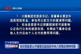 四川新闻联播丨省纪委监委公开通报五起违反中央八项规定精神问题视频封面