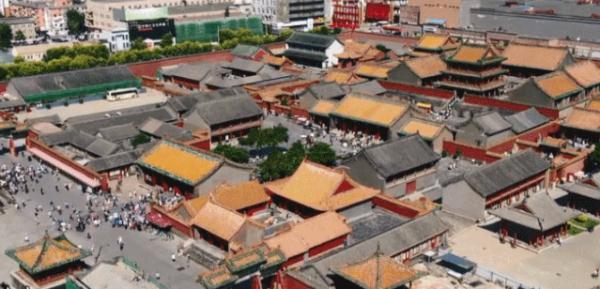 2019四十八届沈阳制药机械展