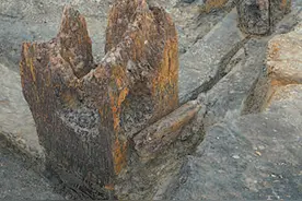 鸡叫城遗址考古新收获图片