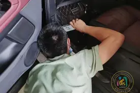 吓坏！车辆正在高速路上行驶，座椅下方突然跑出一只猫图片