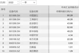 汇金一季度投资路线图揭晓，新进内蒙华电、黑牡丹前十大股东图片