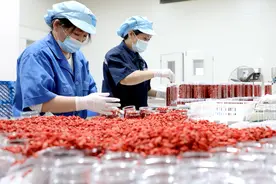 江西峡江：假日不停歇 在岗忙生产图片