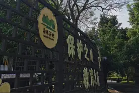 广州将迎十年来最冷“五一”？明天最高只有18℃图片