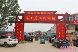 每天销量10万斤 南王店西瓜五一喜迎丰收图片