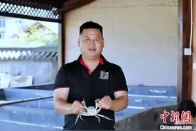 「十年@每一个奋斗的你」浙江衢州新农人探索“稻渔共生”螃蟹小龙虾游出共富路图片
