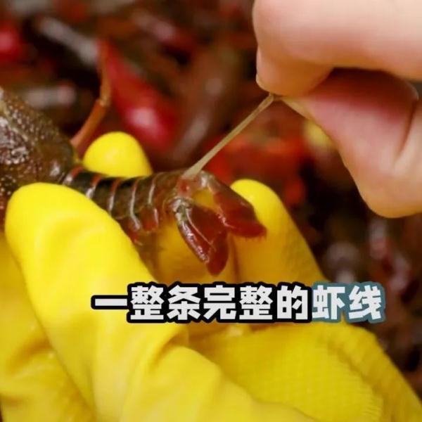 小龙虾这样洗！才能洗得干净，吃得放心