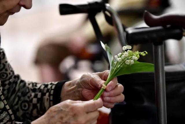 ���������ι��Ͷ��ڣ�С��Ϊ�����̵�