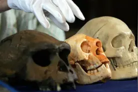 “霍比特人”可能并未灭绝，印度尼西亚有多人目击到神秘人种出没图片