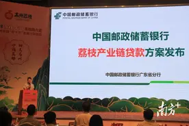助企惠农！邮储银行广东省分行发布荔枝产业链贷款方案图片