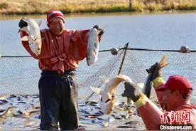 中俄界江陆续开江：渔民首航捕捞“第一口鲜”图片