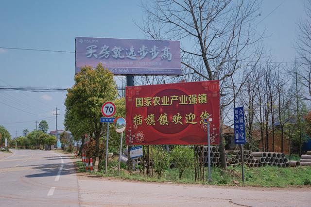 “芥菜之乡”困与解