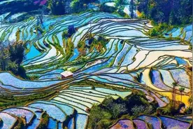 云南73个A级景区拟减免门票视频封面