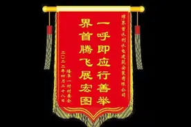 万企兴万村！隆阜一村给这家企业送上锦旗感谢信图片