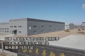 专班服务有温度 黑龙江项目建设“火力全开”视频封面