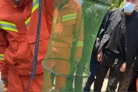 剧毒！居民村头散步碰上3米长眼镜王蛇！警方提醒图片