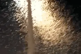 飞蚁大军来了，网友：被吓哭！如何预防？图片