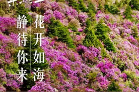 乐游五一 | 花开如海，静待你来图片