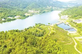 团风县建设牛车河示范区——先行先试，给乡村振兴“打个样儿”图片