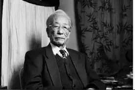 谢辰生走了：他用一个世纪的生命，阻止文物古迹的湮灭图片