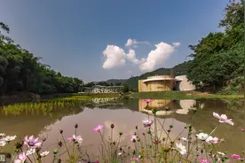 踏浪而行，95后银行人扎根乡村图片