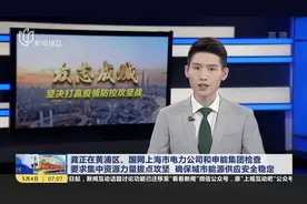 龚正在黄浦区、国网上海市电力公司和申能集团检查 要求集中资源力量拔点攻坚 确保城市能源供应安全稳定视频封面