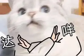 第一届“00后”已经22岁了图片