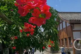 “五一”好去处丨木洞老街 享受慢时光图片