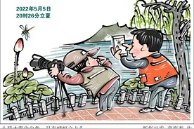 （图表·漫画）［二十四节气·立夏］小荷才露尖尖角，早有蜻蜓立上头图片
