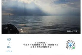 大型鲸类搁浅会受到什么伤害？“一鲸落，万物生”的说法是真的吗？图片